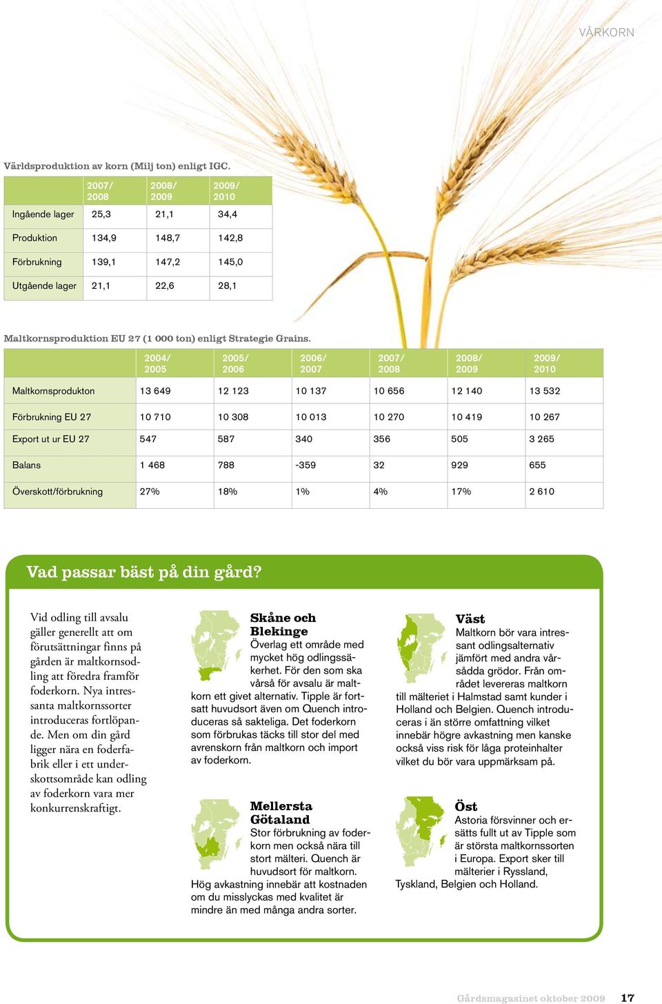 Strategie Grains.