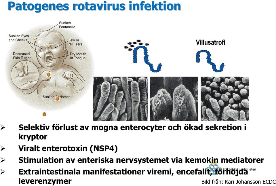 Stimulation av enteriska nervsystemet via kemokin mediatorer