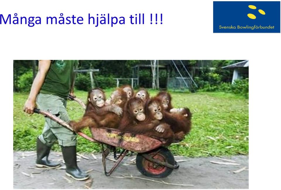 hjälpa