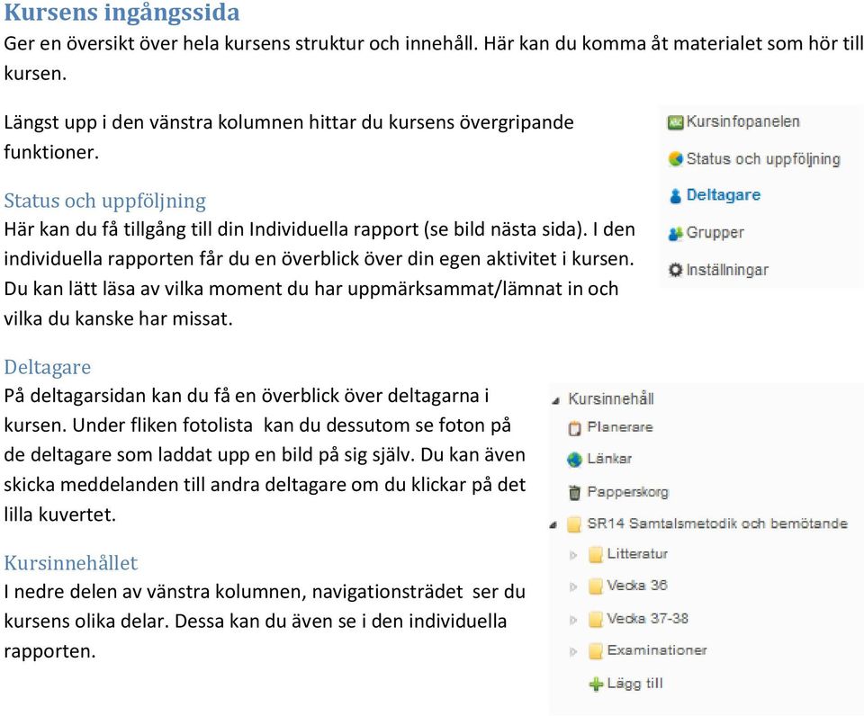 I den individuella rapporten får du en överblick över din egen aktivitet i kursen. Du kan lätt läsa av vilka moment du har uppmärksammat/lämnat in och vilka du kanske har missat.