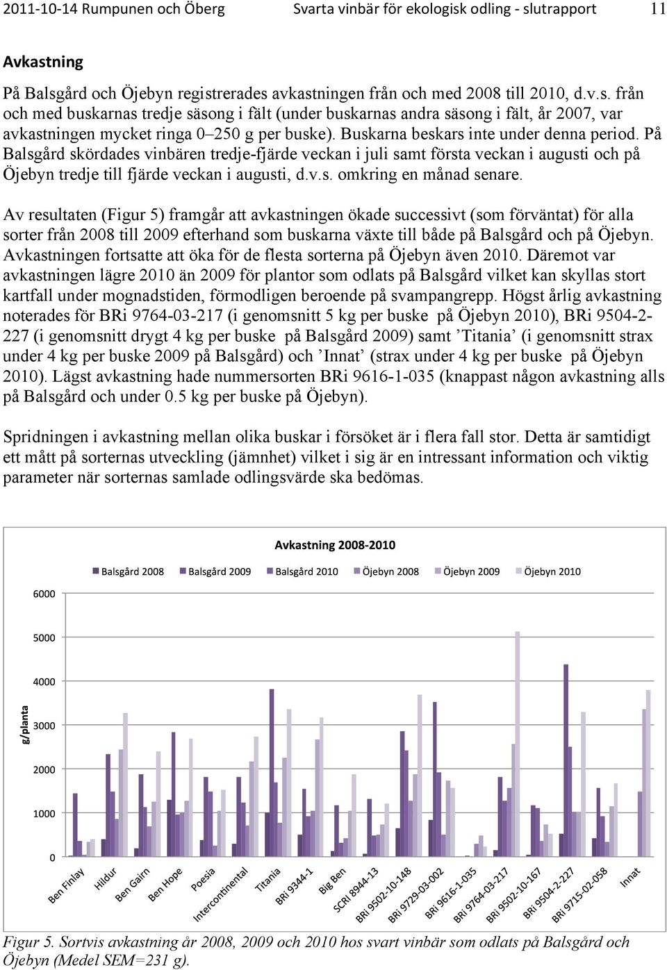 Av resultaten (Figur 5) framgår att avkastningen ökade successivt (som förväntat) för alla sorter från 2008 till 2009 efterhand som buskarna växte till både på Balsgård och på Öjebyn.