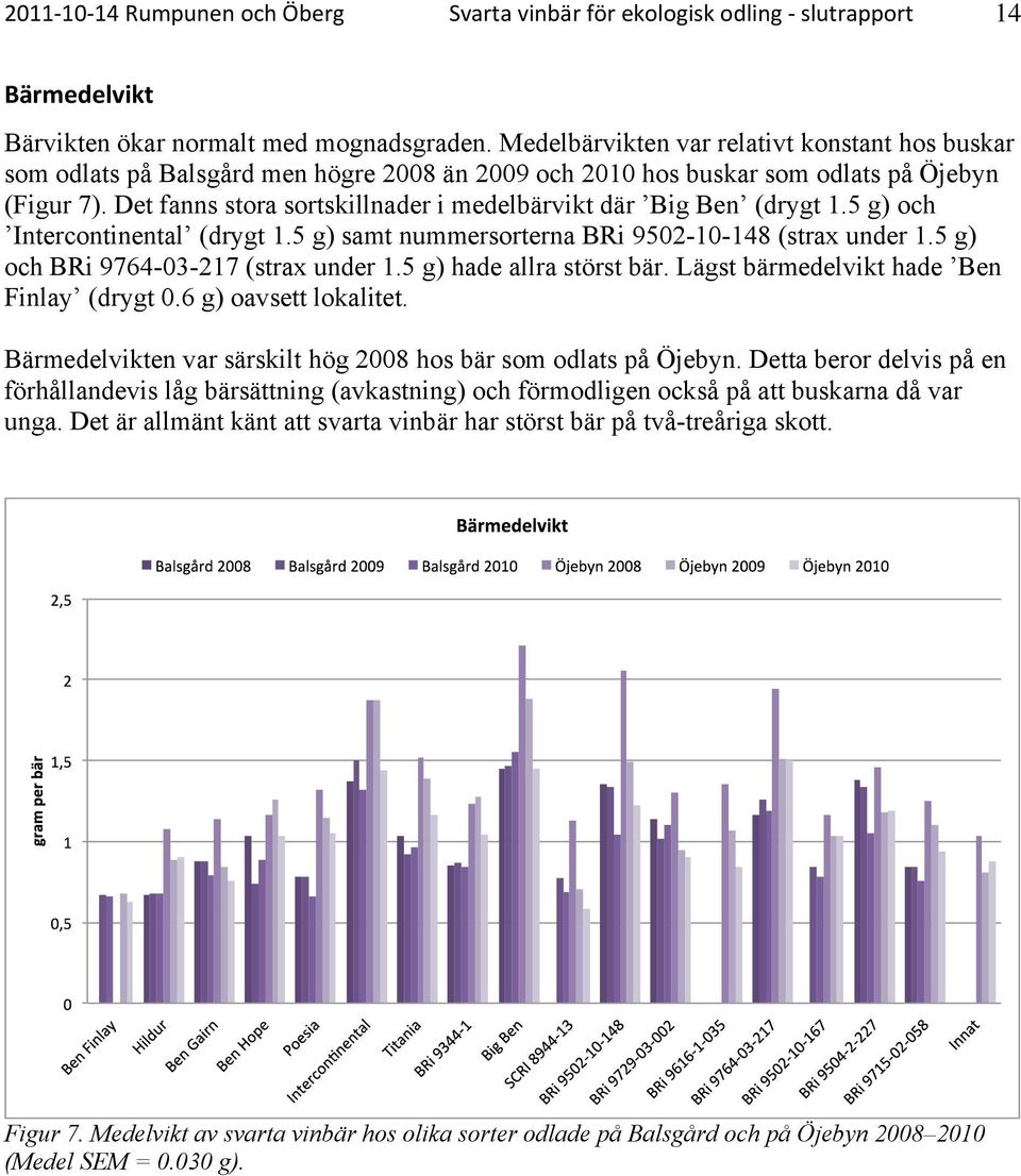 Det fanns stora sortskillnader i medelbärvikt där Big Ben (drygt 1.5 g) och Intercontinental (drygt 1.5 g) samt nummersorterna BRi 9502-10-148 (strax under 1.5 g) och BRi 9764-03-217 (strax under 1.