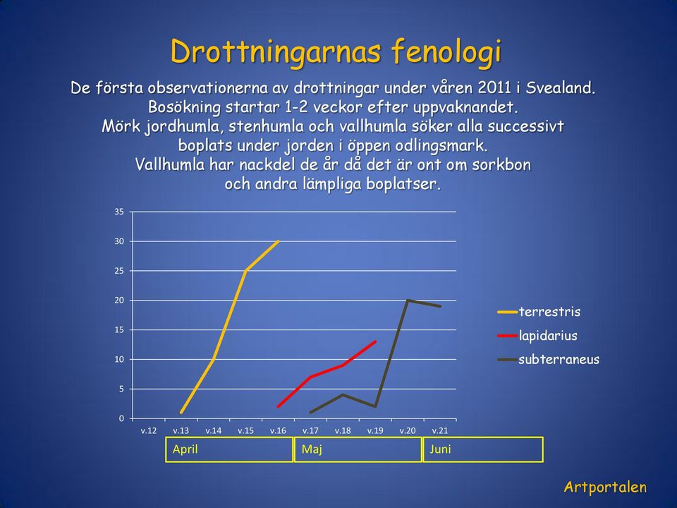 Mörk jordhumla, stenhumla och vallhumla söker alla successivt boplats under jorden i öppen odlingsmark.