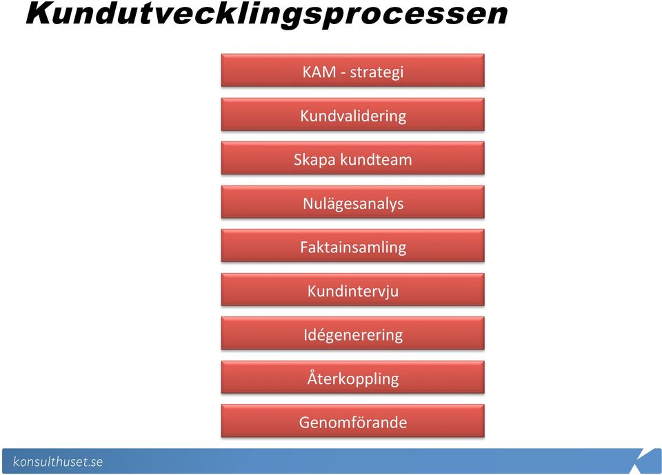 kundteam Nulägesanalys Faktainsamling