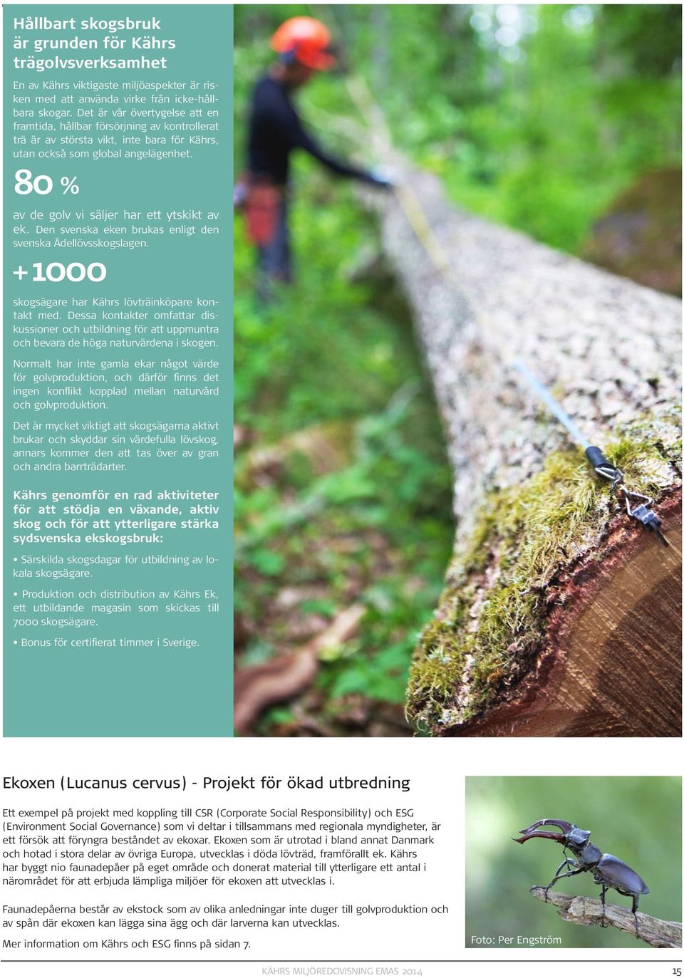 80 % av de golv vi säljer har ett ytskikt av ek. Den svenska eken brukas enligt den svenska Ädellövsskogslagen. + 1000 skogsägare har Kährs lövträinköpare kontakt med.