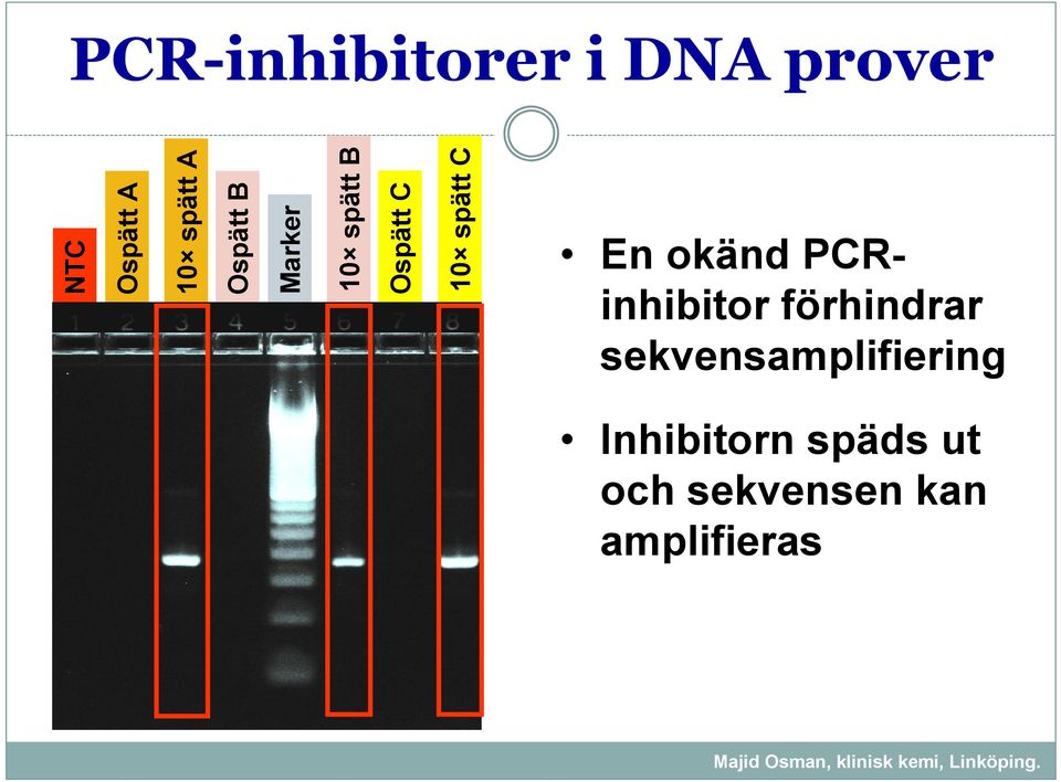 En okänd PCRinhibitor förhindrar