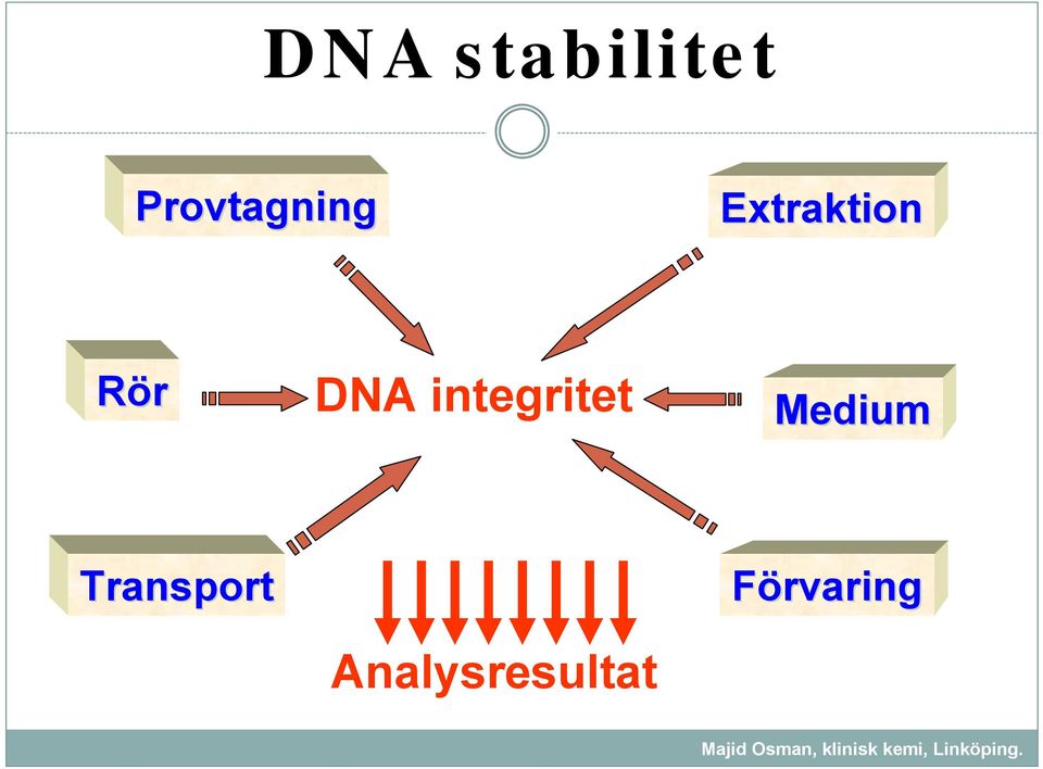 Rör DNA integritet
