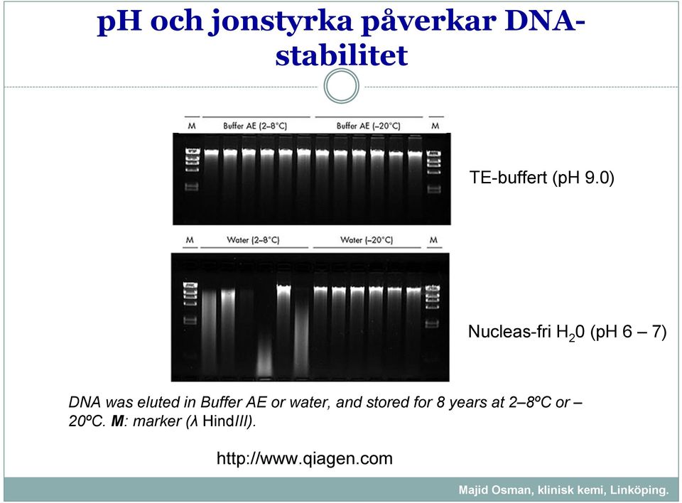 0) Nucleas-fri H 2 0 (ph 6 7) DNA was eluted in