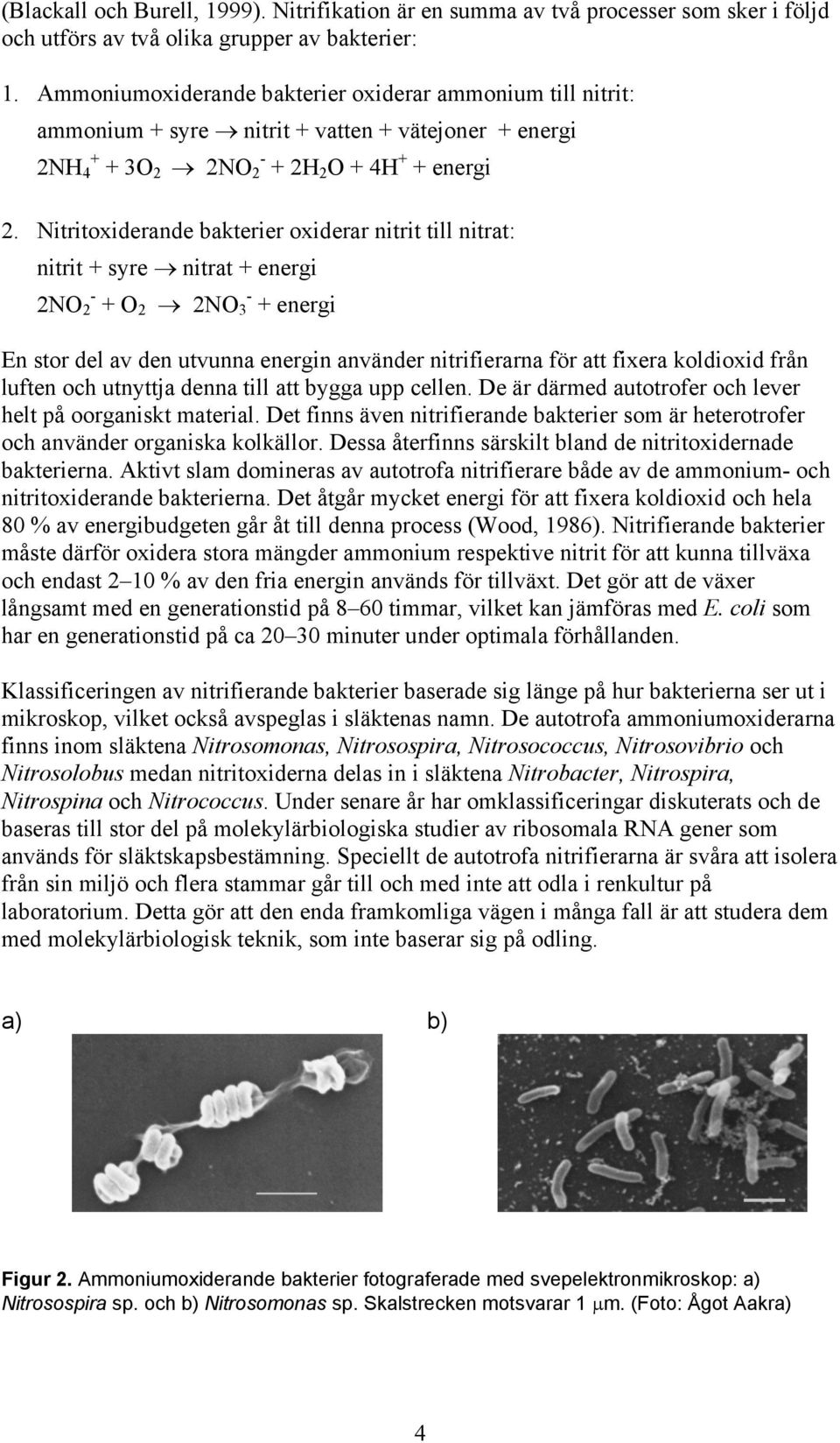 Nitritoxiderande bakterier oxiderar nitrit till nitrat: nitrit + syre nitrat + energi 2NO - 2 + O 2 2NO - 3 + energi En stor del av den utvunna energin använder nitrifierarna för att fixera koldioxid