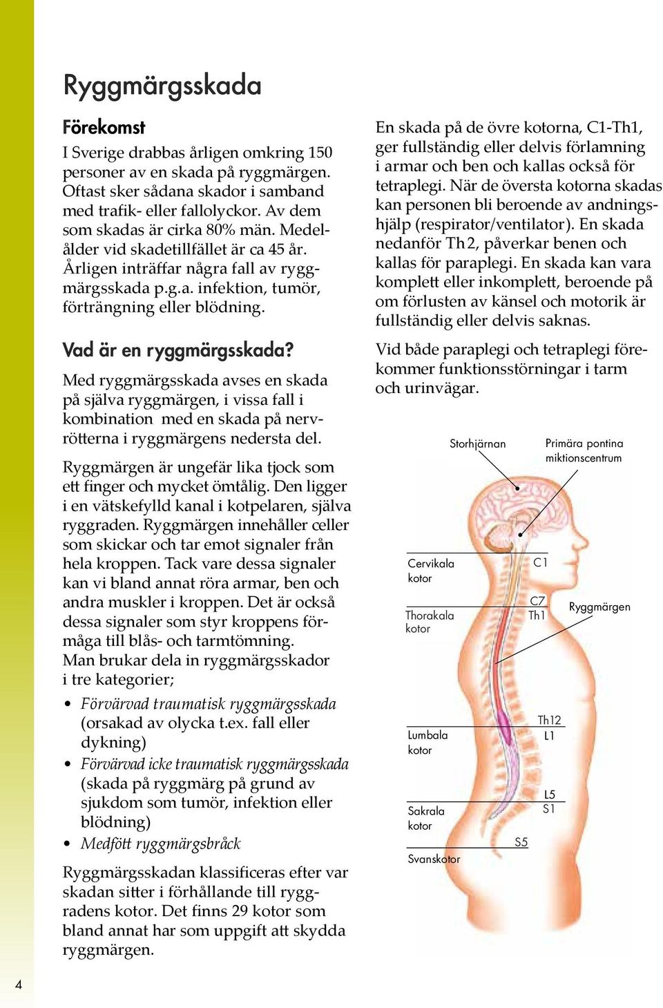 Av dem kan personen bli beroende av andningshjälp (respirator/ventilator). En skada som skadas är cirka 80% män. Medelålder vid skadetillfället är ca 45 år.