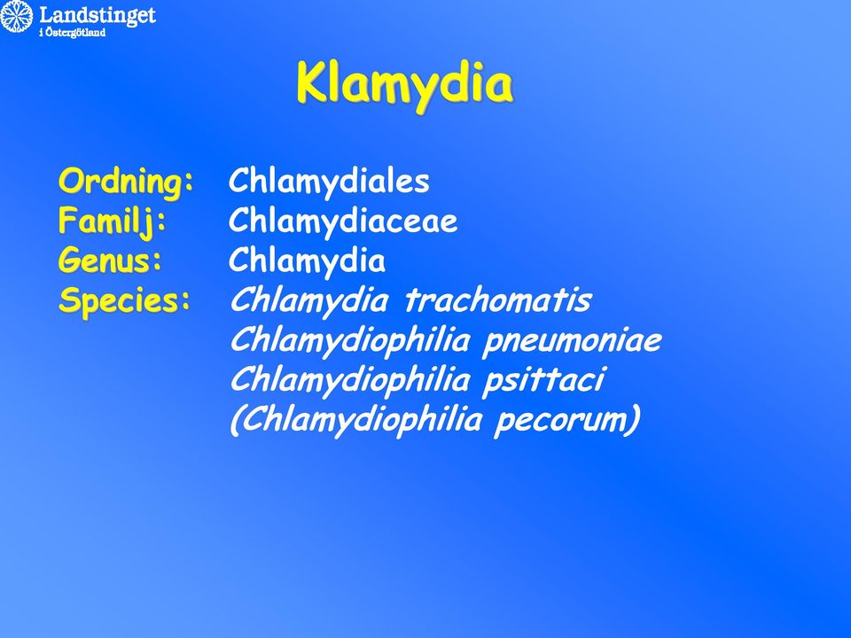 Chlamydia trachomatis Chlamydiophilia
