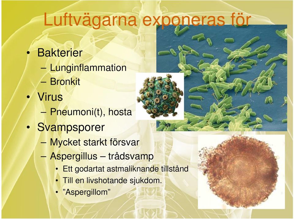 starkt försvar Aspergillus trådsvamp Ett godartat