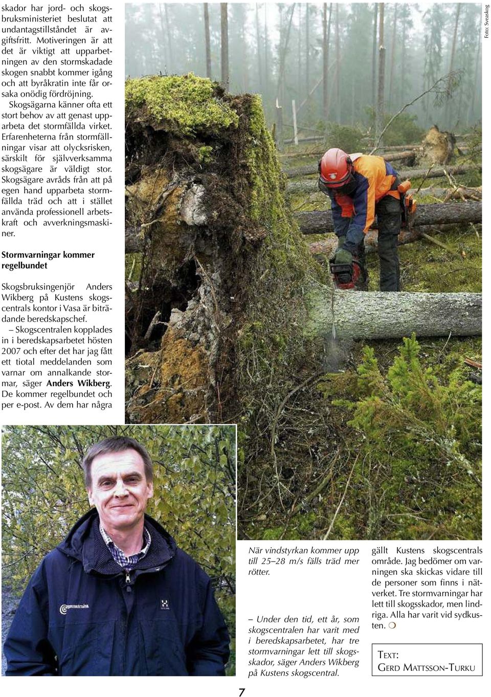 Skogsägarna känner ofta ett stort behov av att genast upparbeta det stormfällda virket.