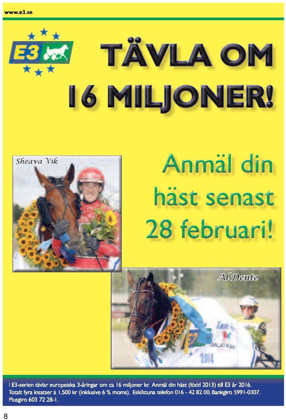 Anmäl din häst (född 2013) till E3 år 2016. Totalt fyra insatser á 1.