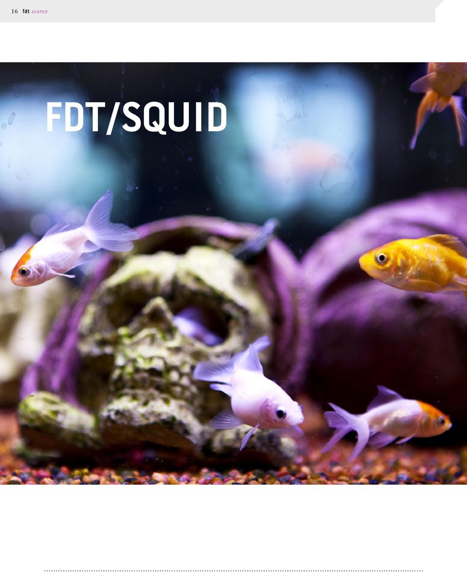 FDT/SQUID