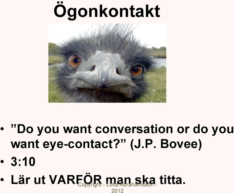 eye-contact? (J.P.