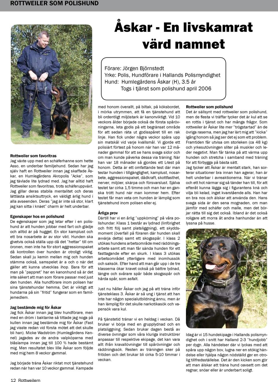 Sedan har jag själv haft en Rottweiler innan jag skaffade Åskar, en Humlegårdens Akropolis Acke, som jag tävlade lite lydnad med. Jag har alltid haft Rottweiler som favoritras, trots schäferuppväxt.
