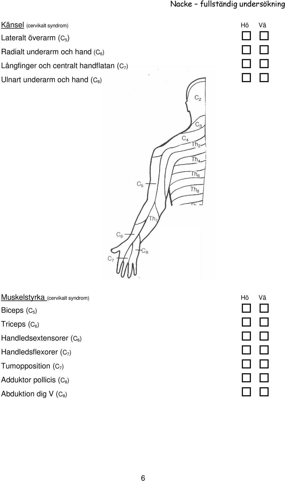 (C 8 ) Muskelstyrka (cervikalt syndrom) Biceps (C 5 ) Triceps (C 6 ) Handledsextensorer (C 6