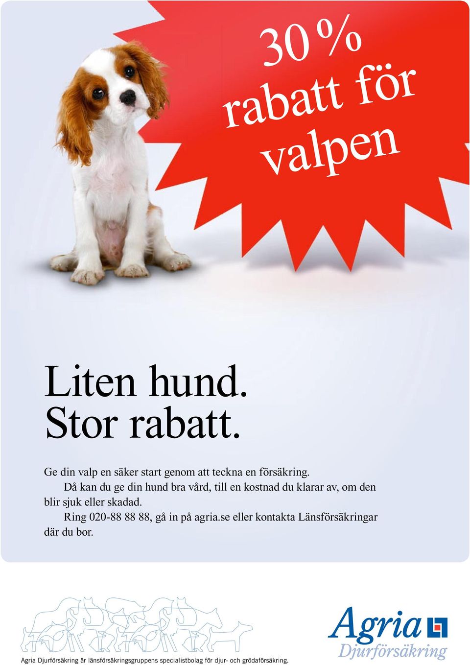 Då kan du ge din hund bra vård, till en kostnad du klarar av, om den blir sjuk eller skadad.