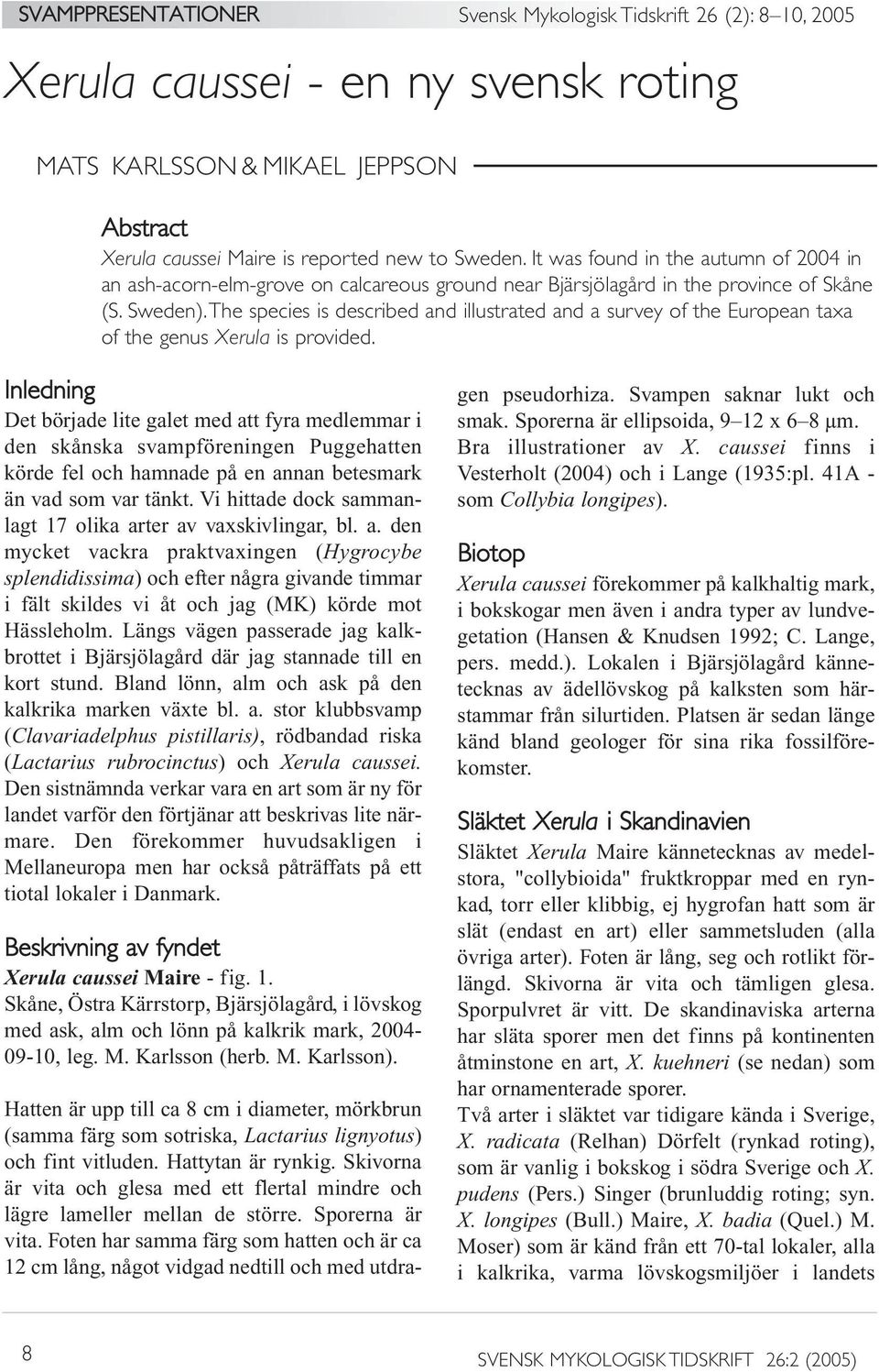 The species is described and illustrated and a survey of the European taxa of the genus Xerula is provided.