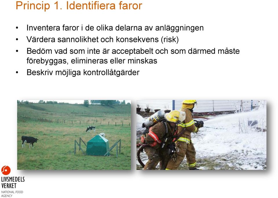 anläggningen Värdera sannolikhet och konsekvens (risk) Bedöm