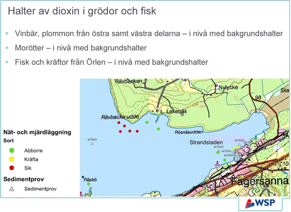 bakgrundshalter Morötter i nivå med