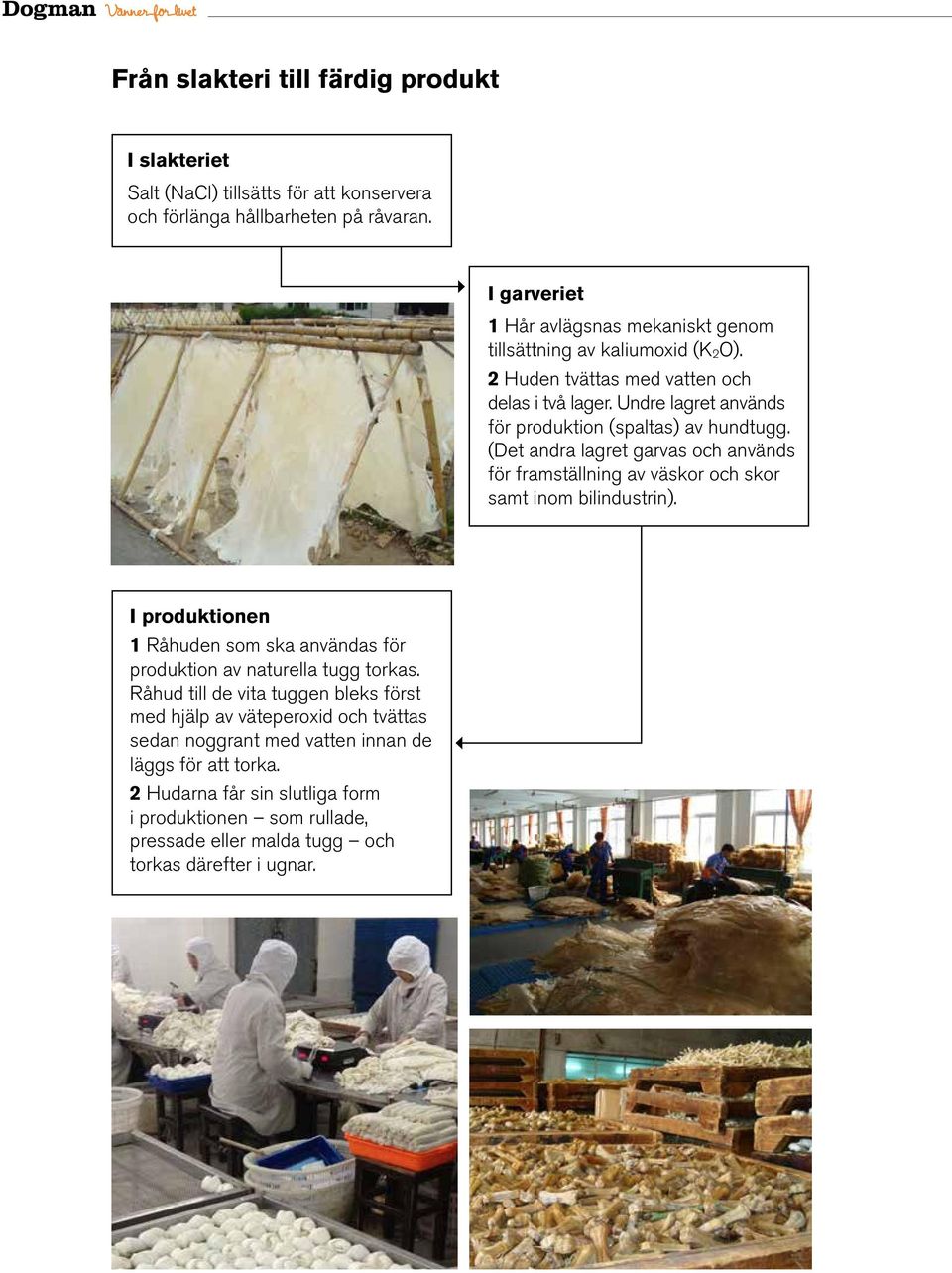 Undre lagret används för produktion (spaltas) av hundtugg. (Det andra lagret garvas och används för framställning av väskor och skor samt inom bilindustrin).