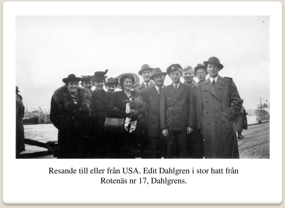 Edit Dahlgren i stor
