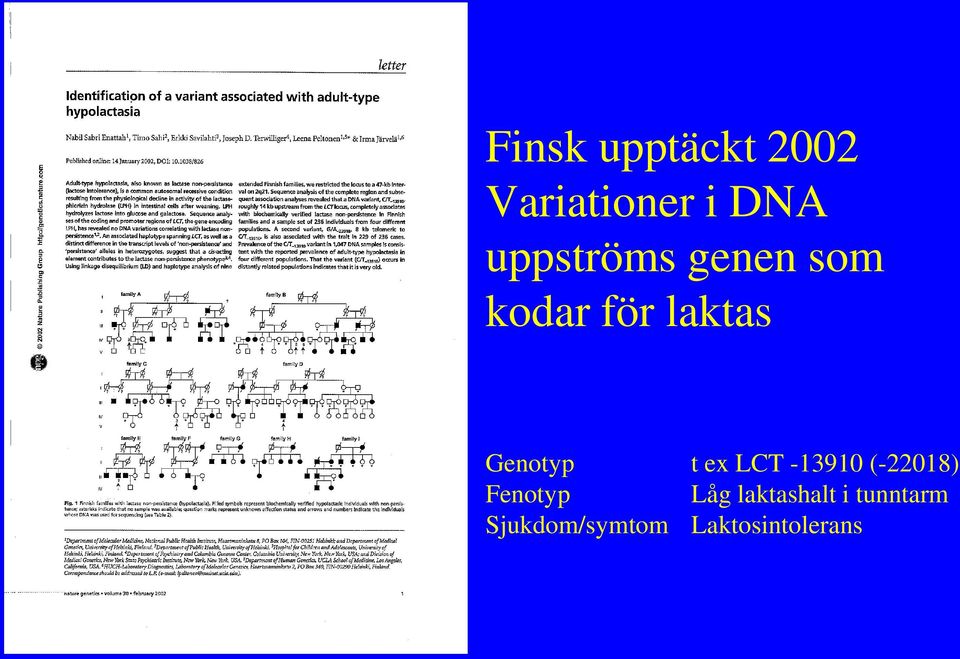 Genotyp t ex LCT -13910 (-22018) Fenotyp