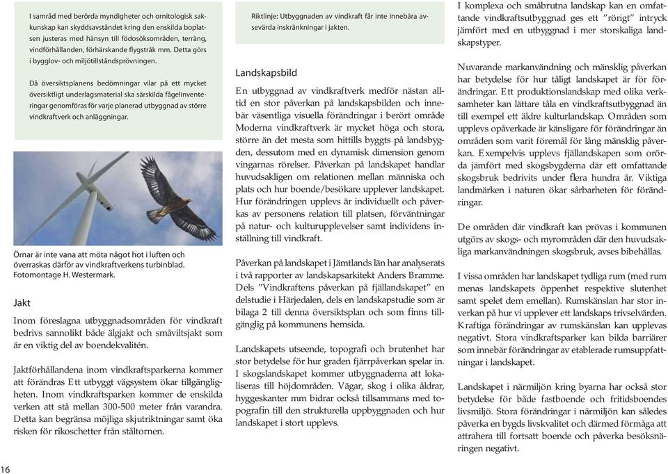 Då översiktsplanens bedömningar vilar på ett mycket översiktligt underlagsmaterial ska särskilda fågelinventeringar genomföras för varje planerad utbyggnad av större vindkraftverk och anläggningar.