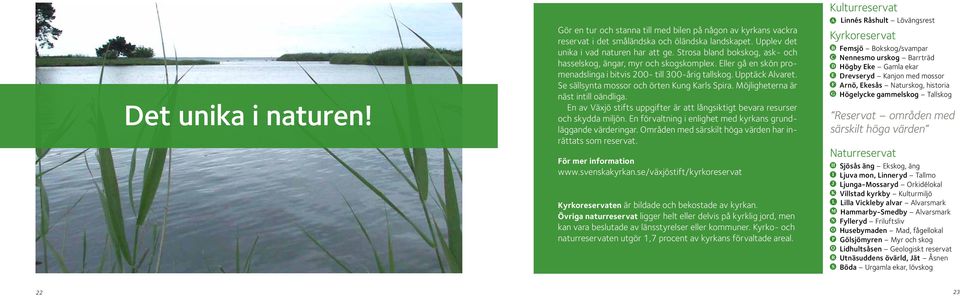 Se sällsynta mossor och örten Kung Karls Spira. Möjligheterna är näst intill oändliga. En av Växjö stifts uppgifter är att långsiktigt bevara resurser och skydda miljön.