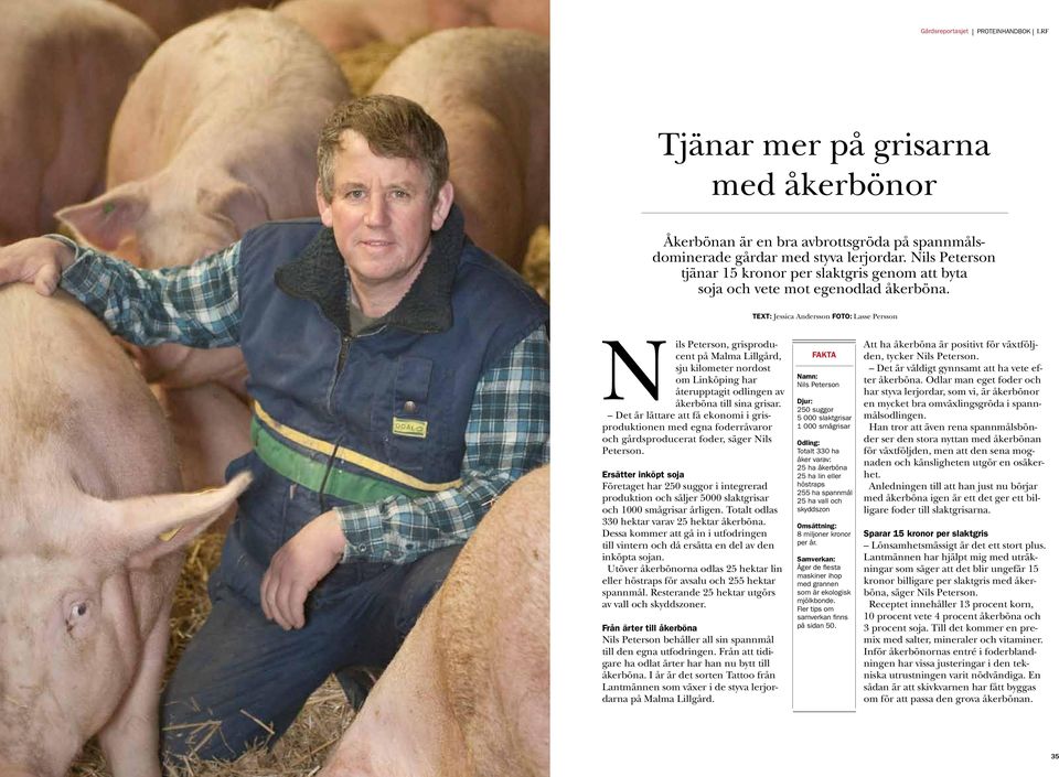 TEXT: Jessica Andersson FOTO: Lasse Persson Nils Peterson, grisproducent på Malma Lillgård, sju kilometer nordost om Linköping har återupptagit odlingen av åkerböna till sina grisar.