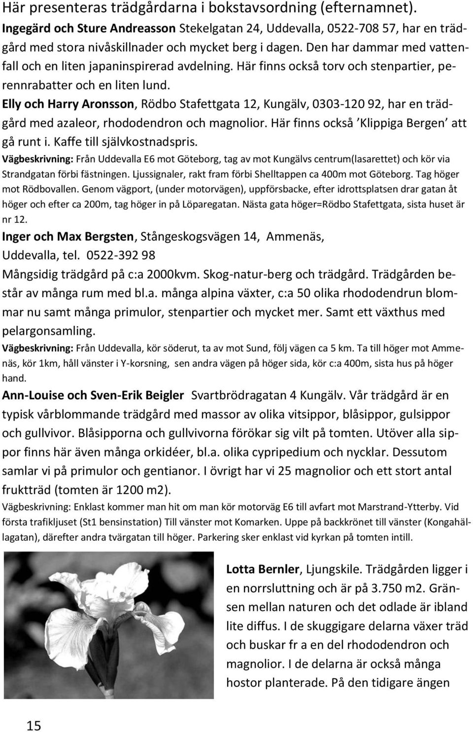 Elly och Harry Aronsson, Rödbo Stafettgata 12, Kungälv, 0303-120 92, har en trädgård med azaleor, rhododendron och magnolior. Här finns också Klippiga Bergen att gå runt i.