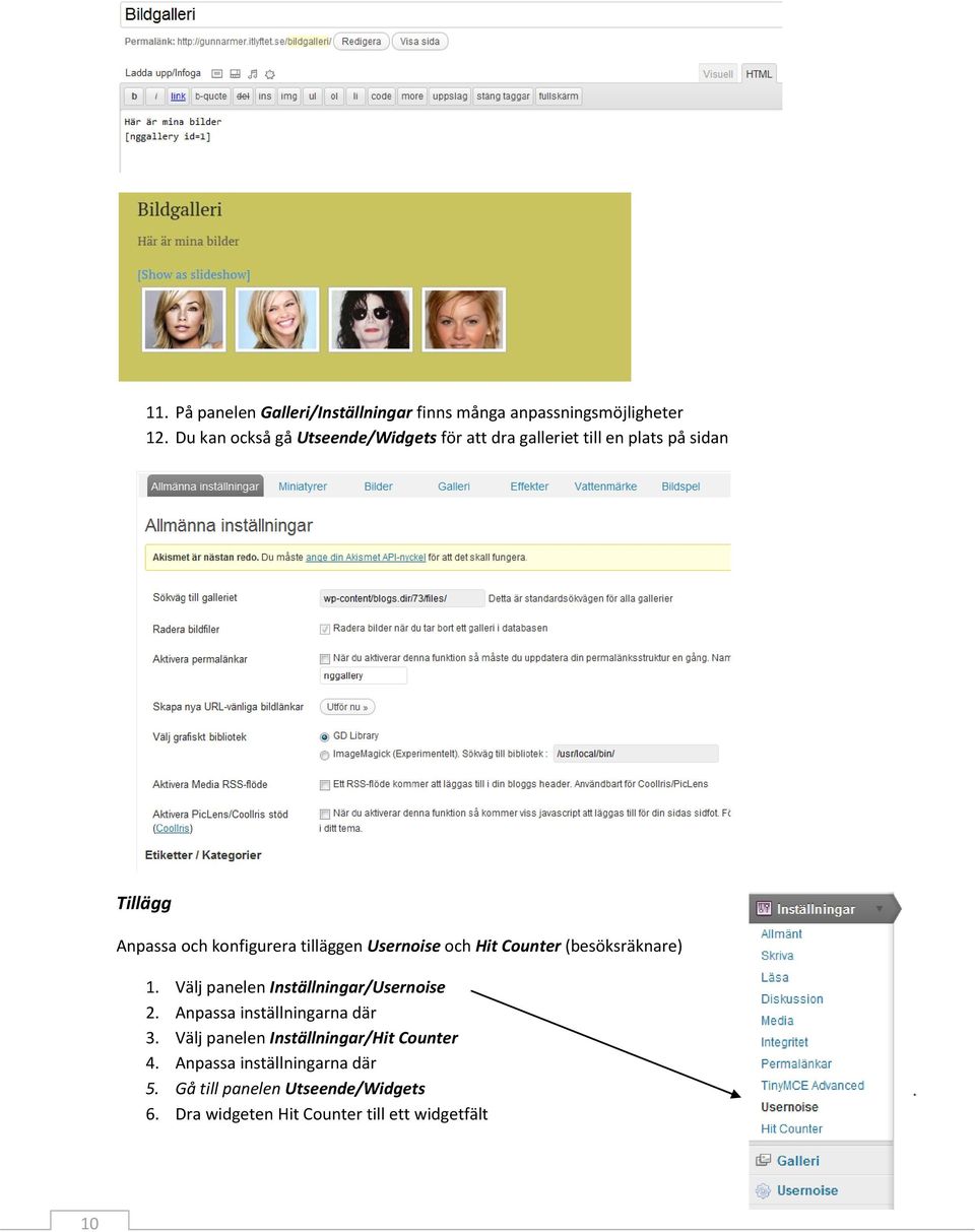 tilläggen Usernoise och Hit Counter (besöksräknare) 1. Välj panelen Inställningar/Usernoise 2.