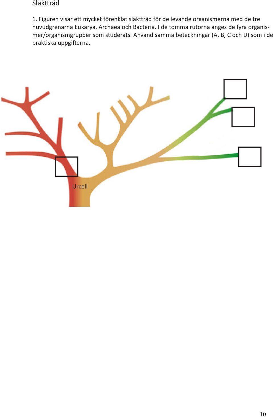 med de tre huvudgrenarna Eukarya, Archaea och Bacteria.