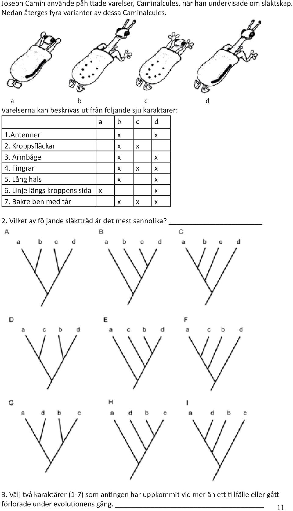 Antenner x x 2. Kroppsfläckar x x 3. Armbåge x x 4. Fingrar x x x 5. Lång hals x x 6. Linje längs kroppens sida x x 7.