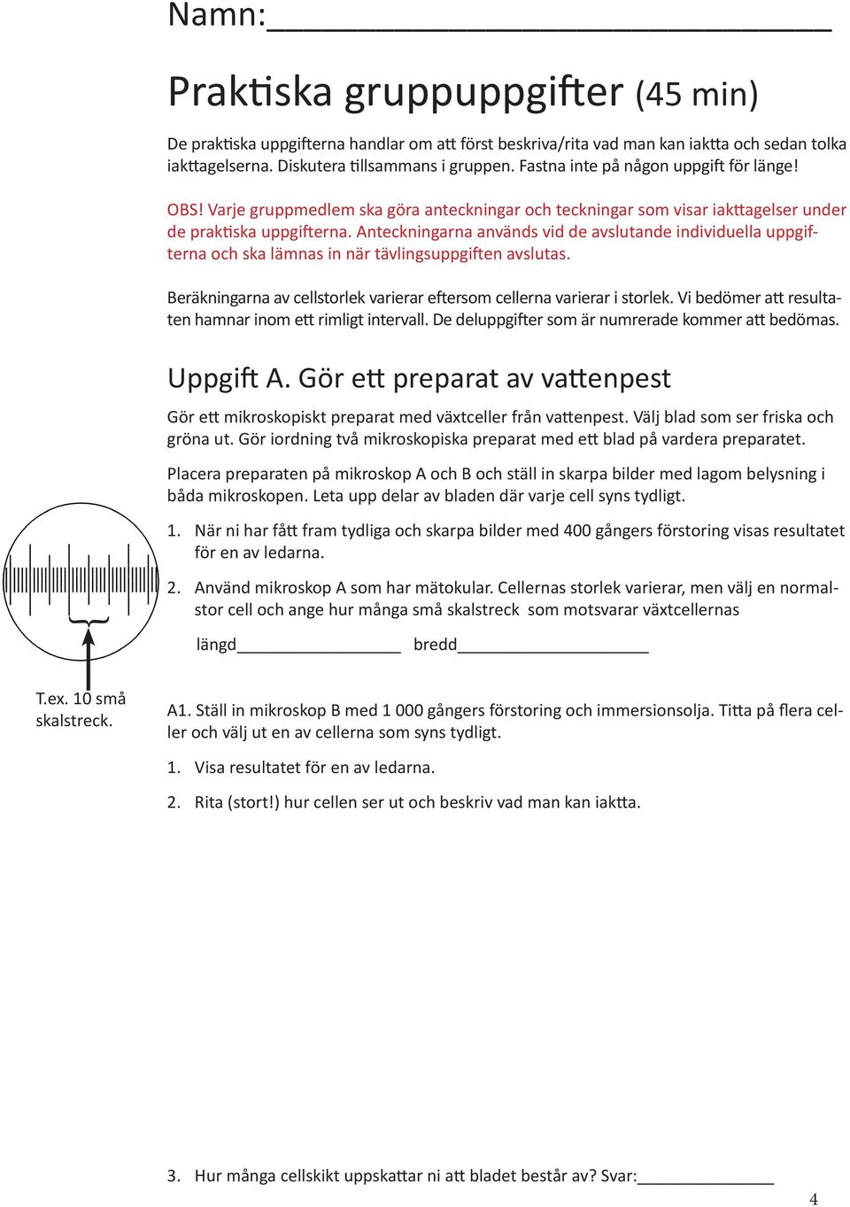 Anteckningarna används vid de avslutande individuella uppgifterna och ska lämnas in när tävlingsuppgiften avslutas. Beräkningarna av cellstorlek varierar eftersom cellerna varierar i storlek.