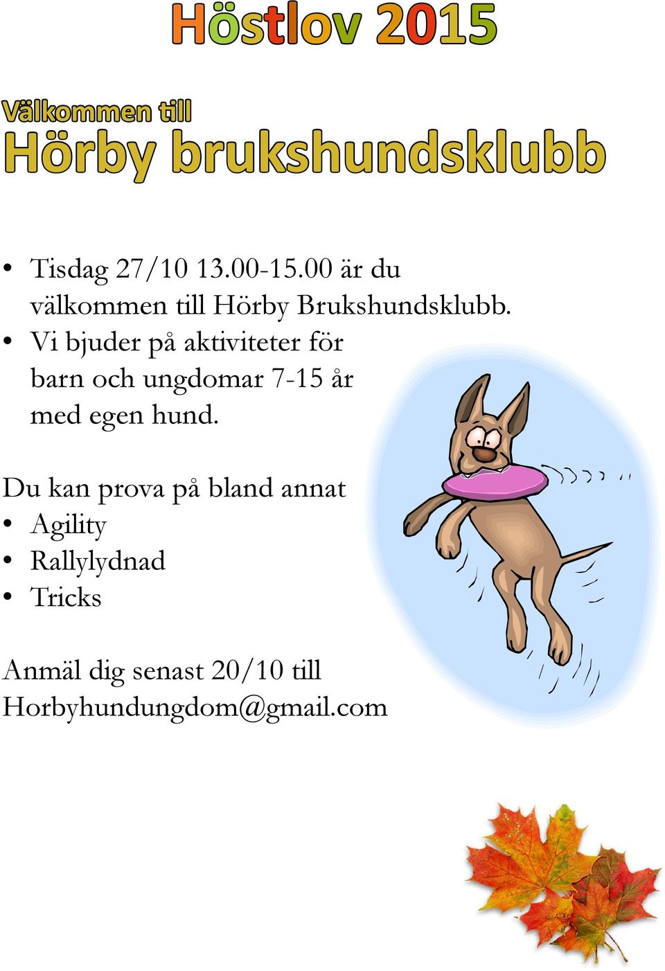 Vi bjuder på aktiviteter för barn och ungdomar 7-15 år med egen hund.