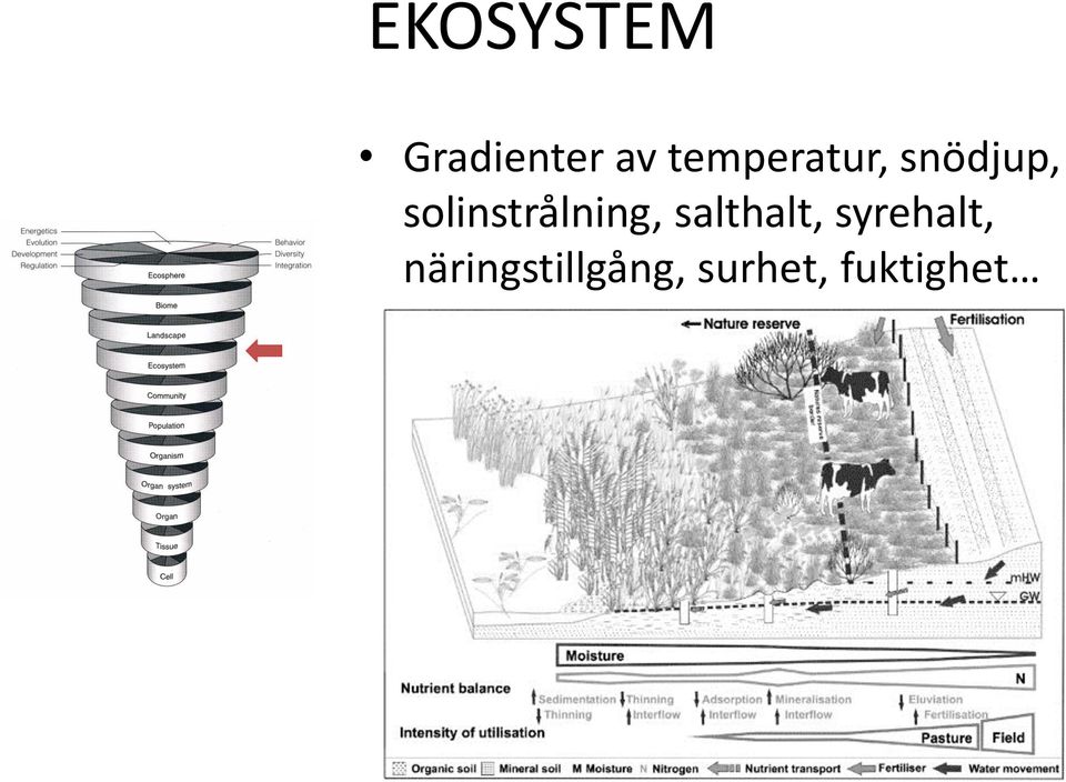 solinstrålning, salthalt,