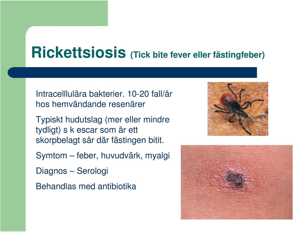 10-20 fall/år hos hemvändande resenärer Typiskt hudutslag (mer eller