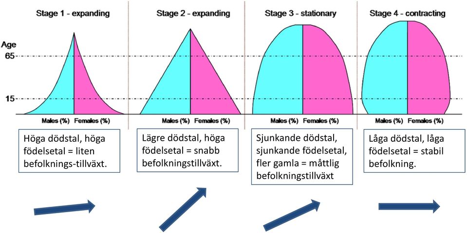 Sjunkande dödstal, sjunkande födelsetal, fler gamla = måttlig