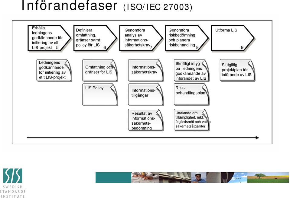 Omfattning och gränser för LIS Informationssäkerhetskrav Skriftligt intyg på ledningens godkännande av införandet av LIS Slutgiltig projektplan för införande av