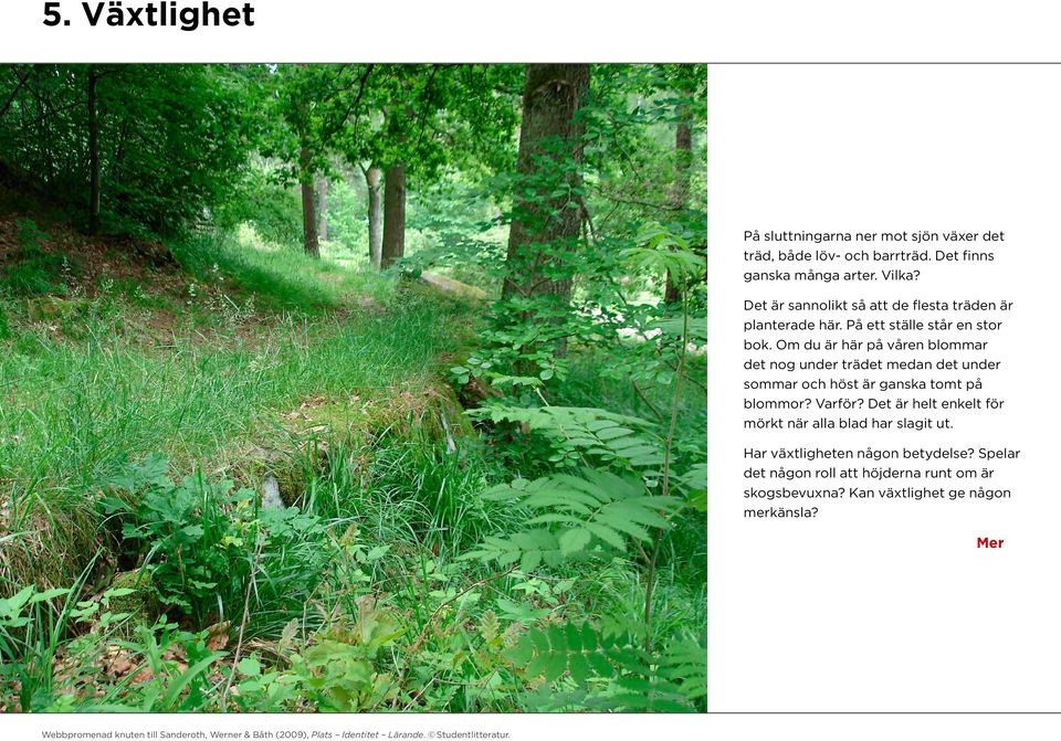 Om du är här på våren blommar det nog under trädet medan det under sommar och höst är ganska tomt på blommor? Varför?