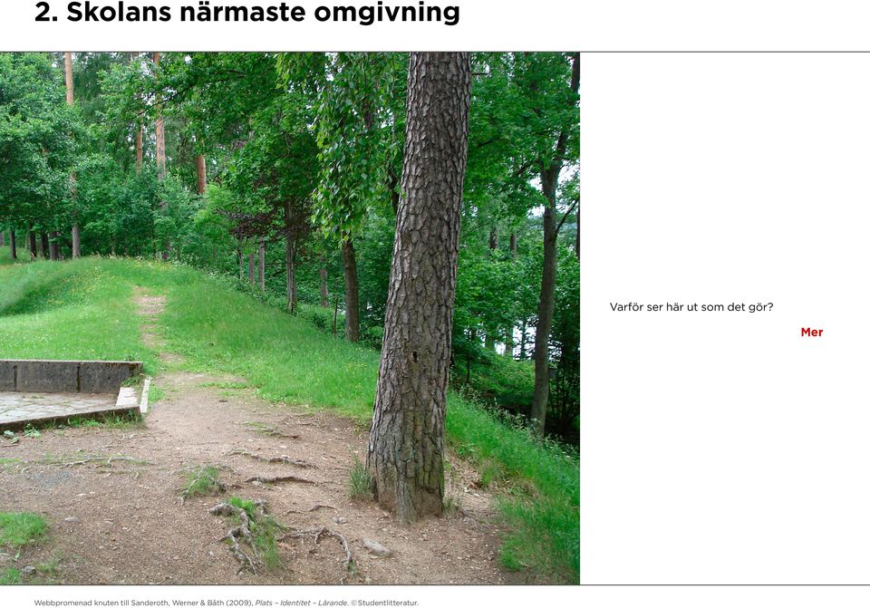 omgivning