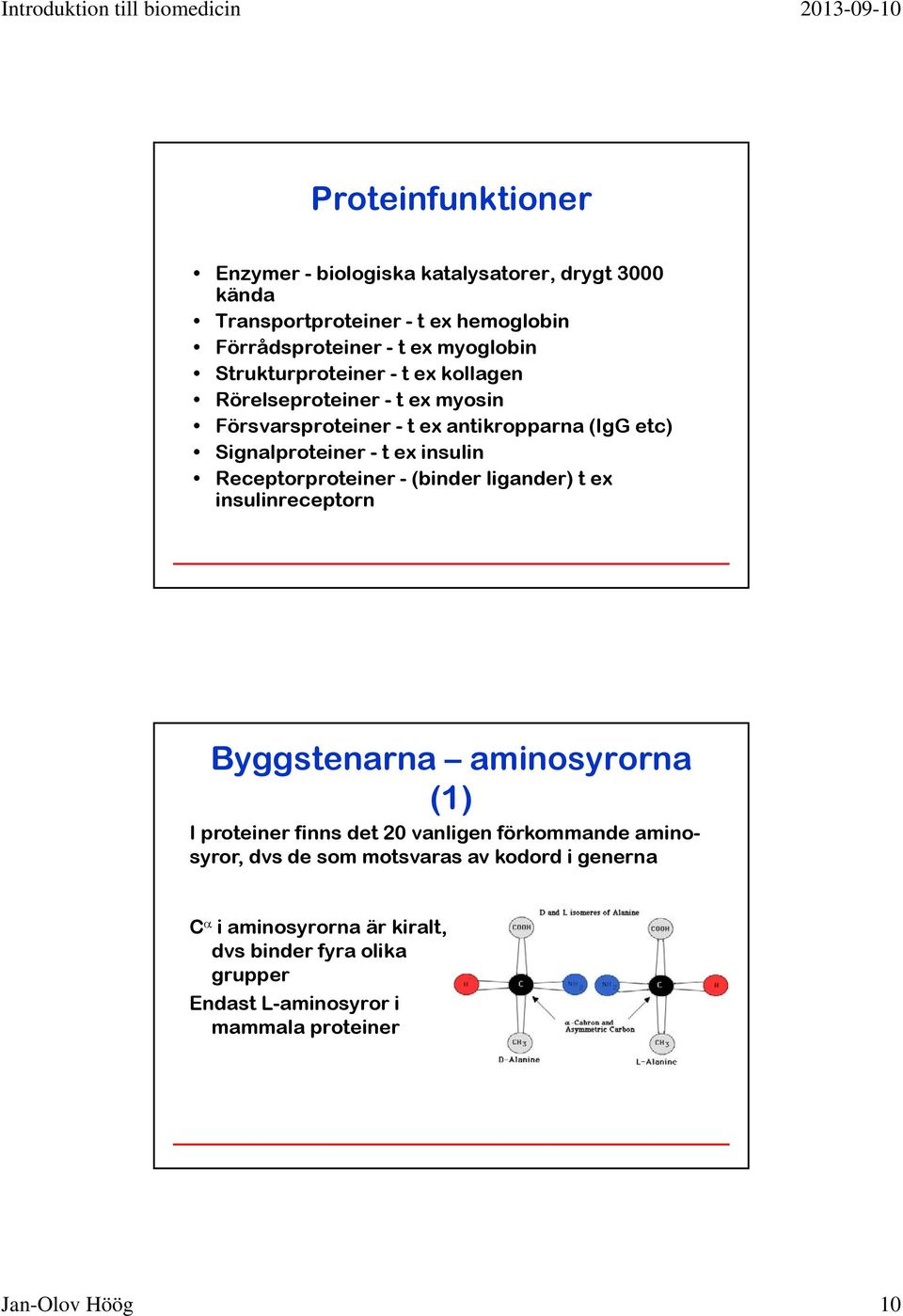 Receptorproteiner - (binder ligander) t ex insulinreceptorn Byggstenarna aminosyrorna (1) I proteiner finns det 20 vanligen förkommande aminosyror,