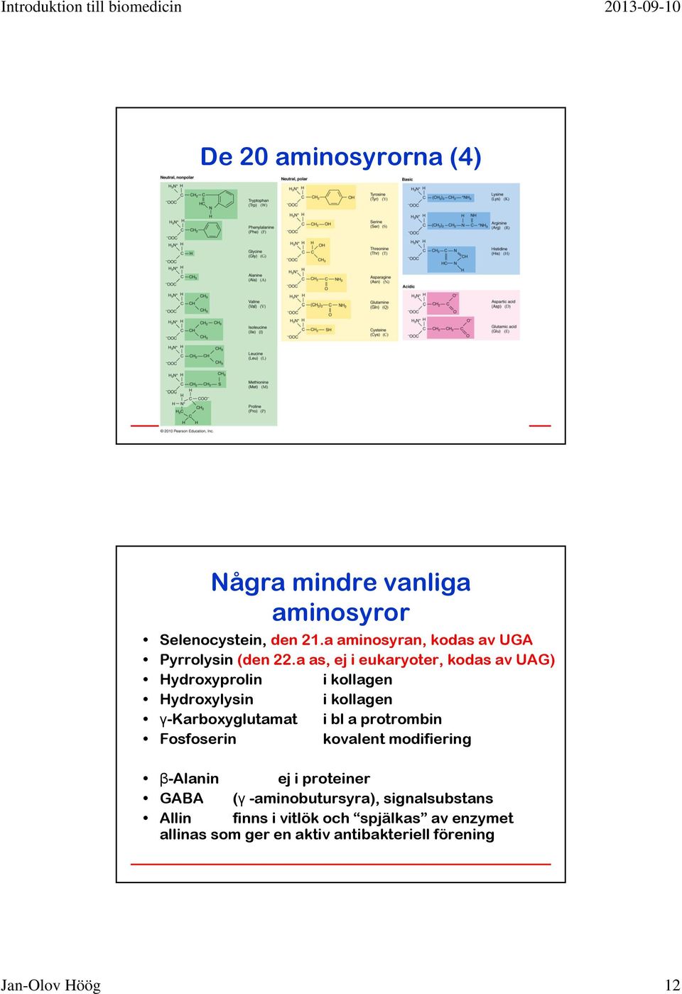 a as, ej i eukaryoter, kodas av UAG) Hydroxyprolin i kollagen Hydroxylysin i kollagen γ-karboxyglutamat i bl a