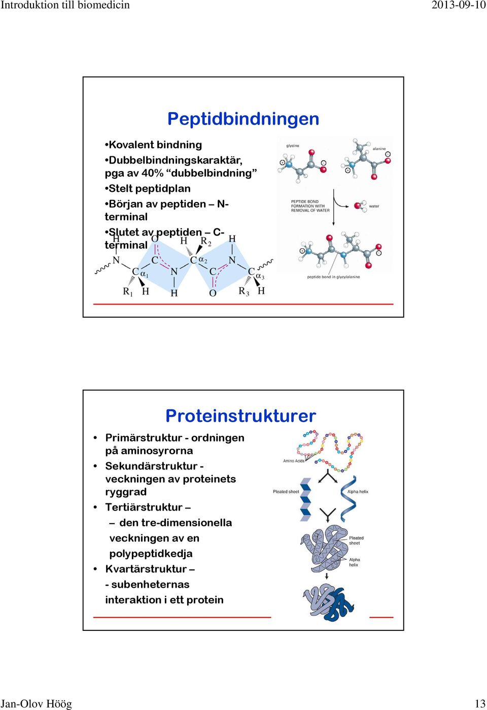 ordningen på aminosyrorna Sekundärstruktur - veckningen av proteinets ryggrad Tertiärstruktur den