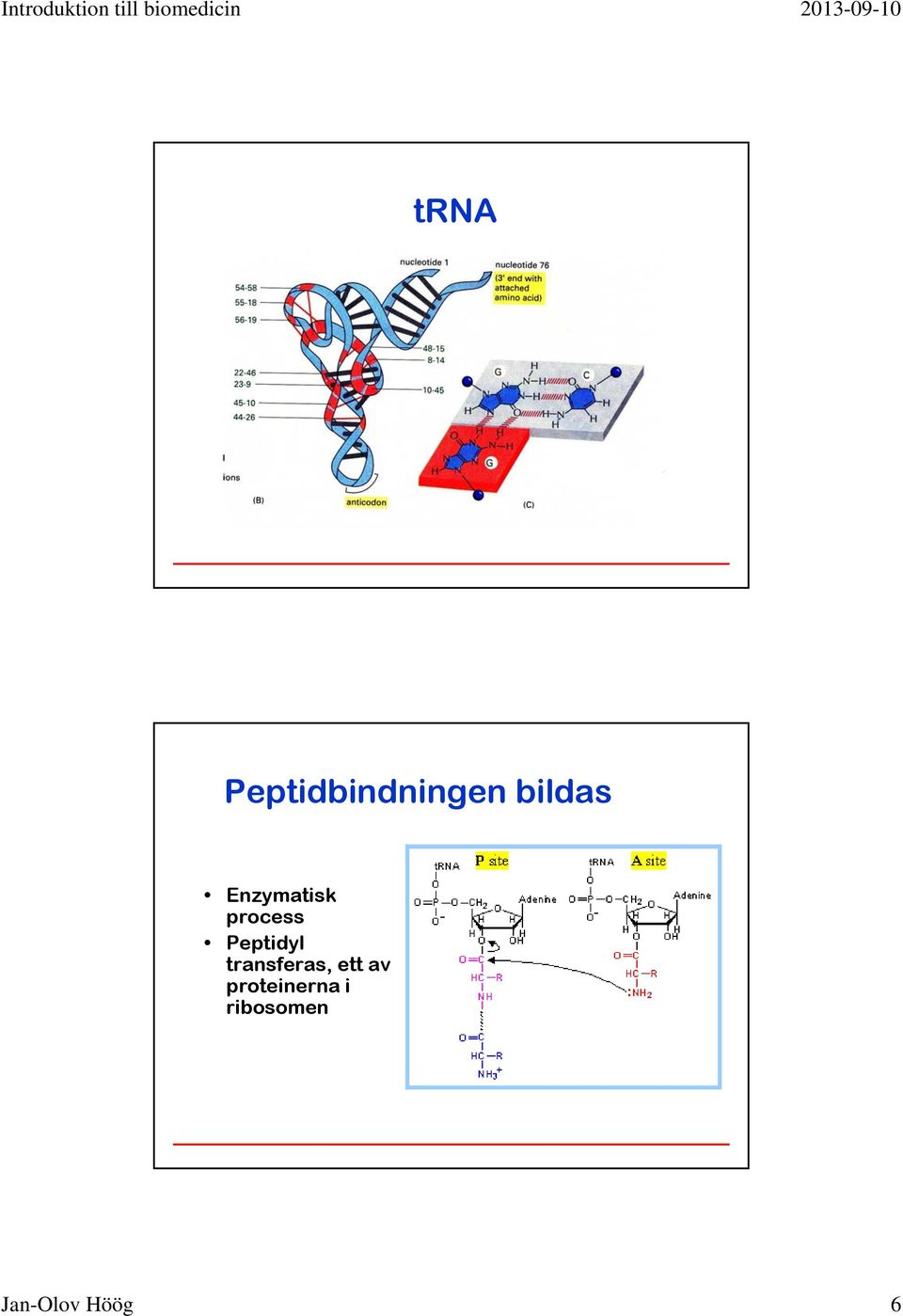 transferas, ett av