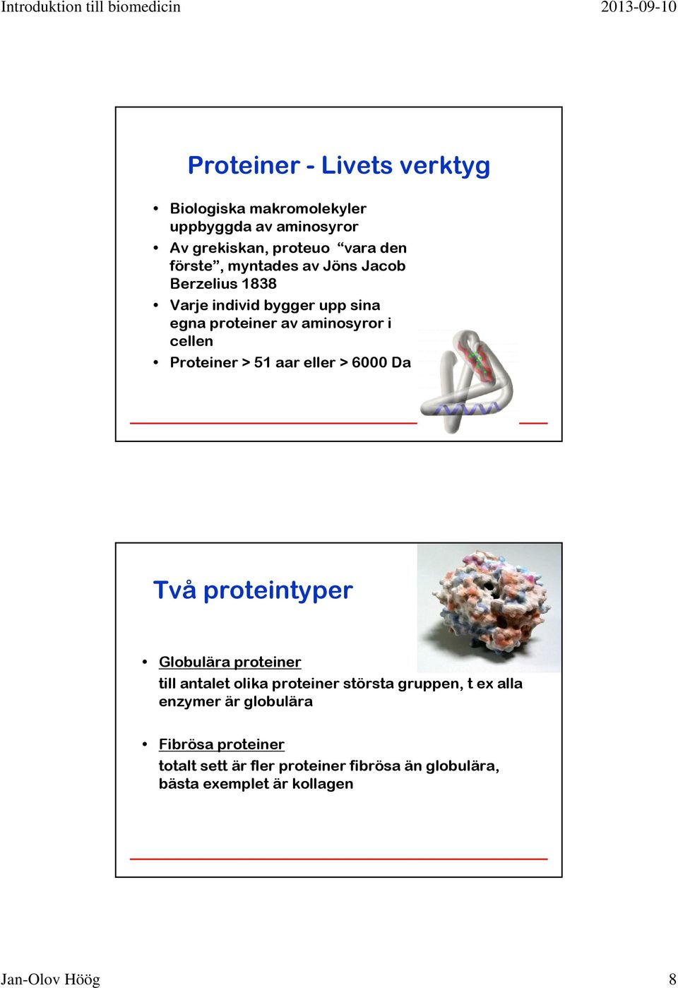 aar eller > 6000 Da Två proteintyper Globulära proteiner till antalet olika proteiner största gruppen, t ex alla enzymer