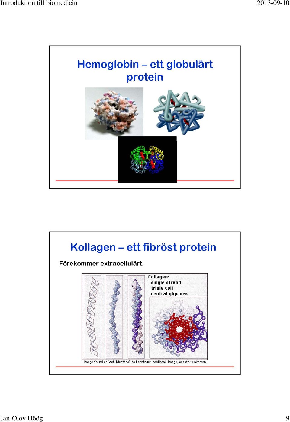 fibröst protein